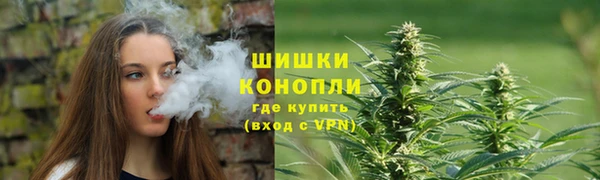 каннабис Богданович